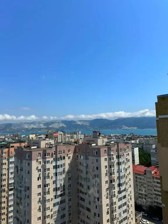 Студия Краснодарский край, Новороссийск просп. Дзержинского, 231 (30.0 ... - Фото 0