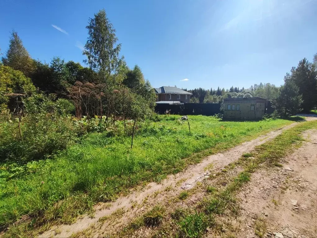 Участок в Московская область, Волоколамский муниципальный округ, д. ... - Фото 2