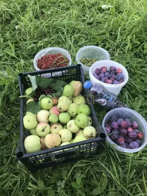 Дом в Марий Эл, Медведевский район, Сидоровское с/пос, Малиновка СНТ  ... - Фото 2