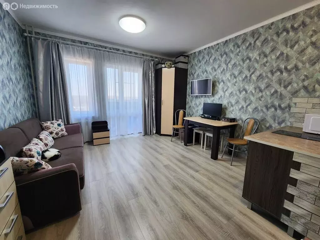 Квартира-студия: Великие Луки, улица Гоголя, 15 (24.3 м) - Фото 2