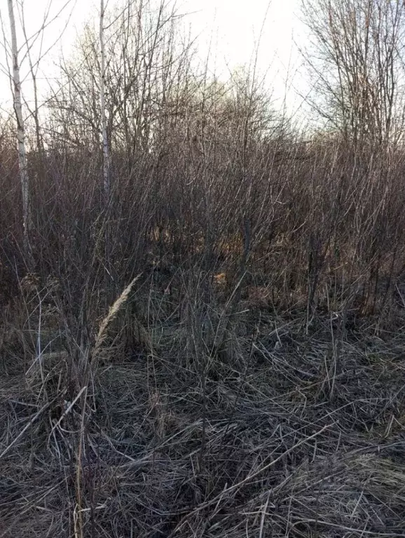 Участок в Кировская область, Яранское городское поселение, Садовые ... - Фото 2