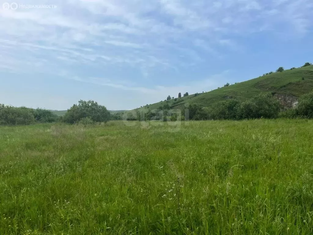 Участок в Майминский район, село Кызыл-Озек (16.52 м) - Фото 0