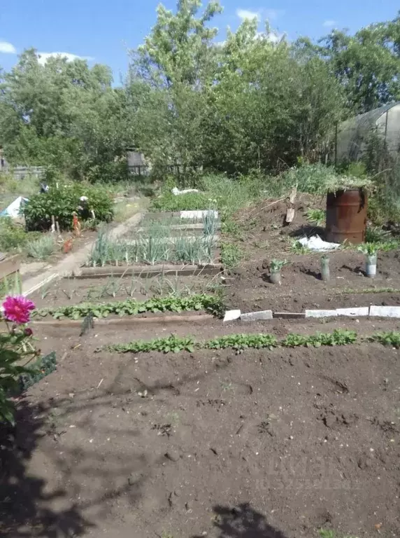 Дом в Челябинская область, Челябинск Дружба СНТ,  (10 м) - Фото 2