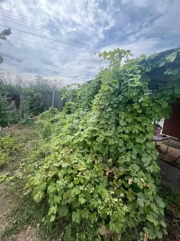 Участок в Благословенский сельсовет, СНТ Ивановские сады, 18-я линия ... - Фото 1