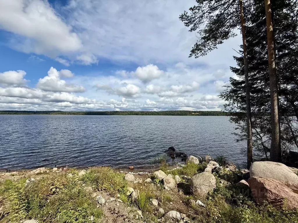 Участок в Ленинградская область, Выборгский район, Приморское ... - Фото 2