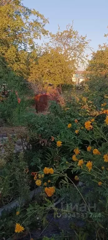 Участок в Астраханская область, Приволжский район, Лотос СТ  (8.61 ... - Фото 2