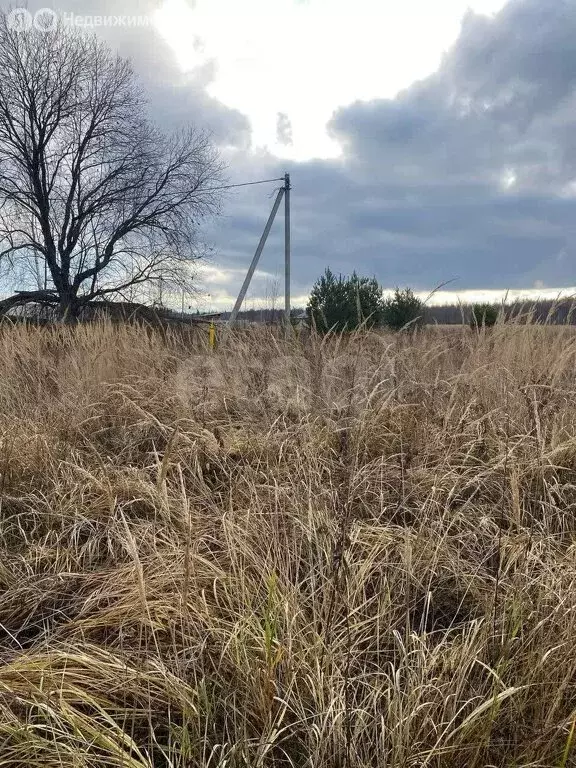 Участок в Ковровский район, муниципальное образование Малыгинское, ... - Фото 1