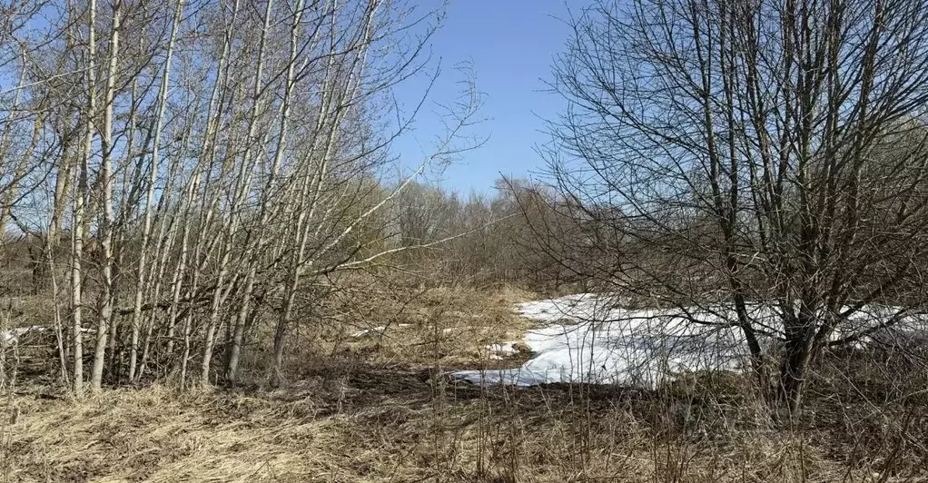 Участок в Московская область, Можайский муниципальный округ, д. Сельцы ... - Фото 1