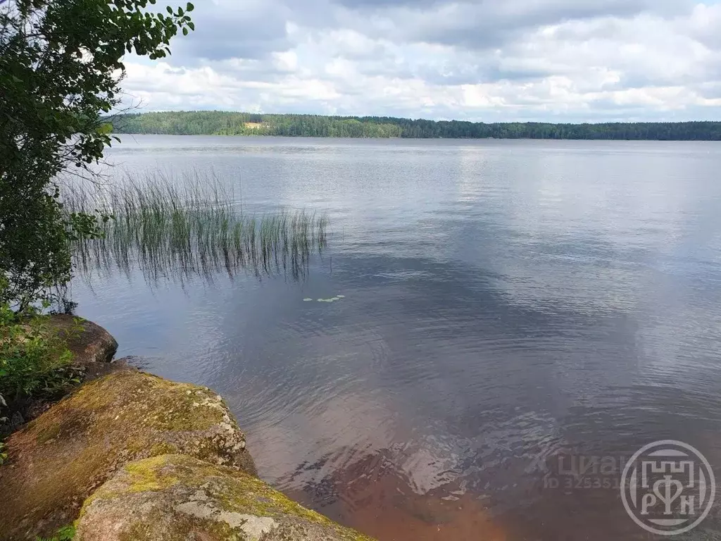 Дом в Ленинградская область, Выборгский район, Приморское городское ... - Фото 2
