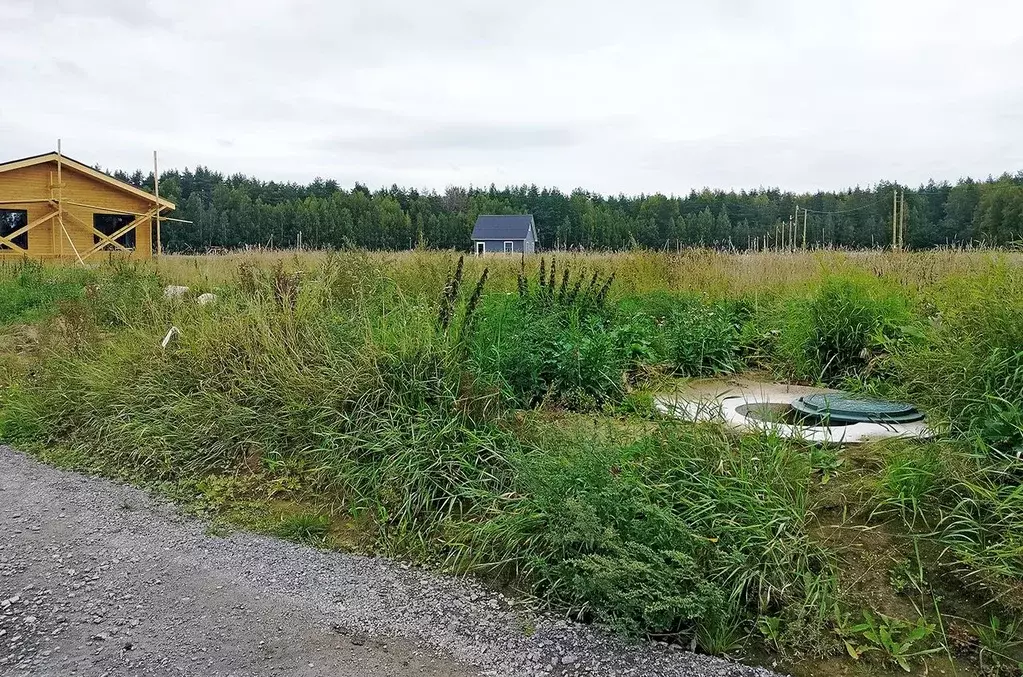 Участок в Ленинградская область, Приозерский район, Красноозерное ... - Фото 2