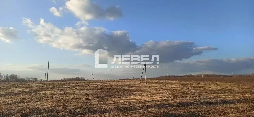 Участок в Тульская область, Алексин городской округ, с. Солопенки ул. ... - Фото 1