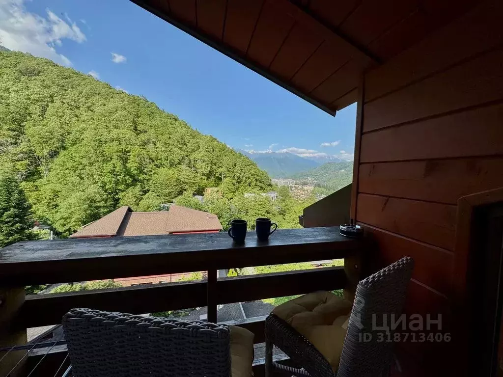 2-к кв. Краснодарский край, Сочи Красная Поляна пгт, ул. ... - Фото 1