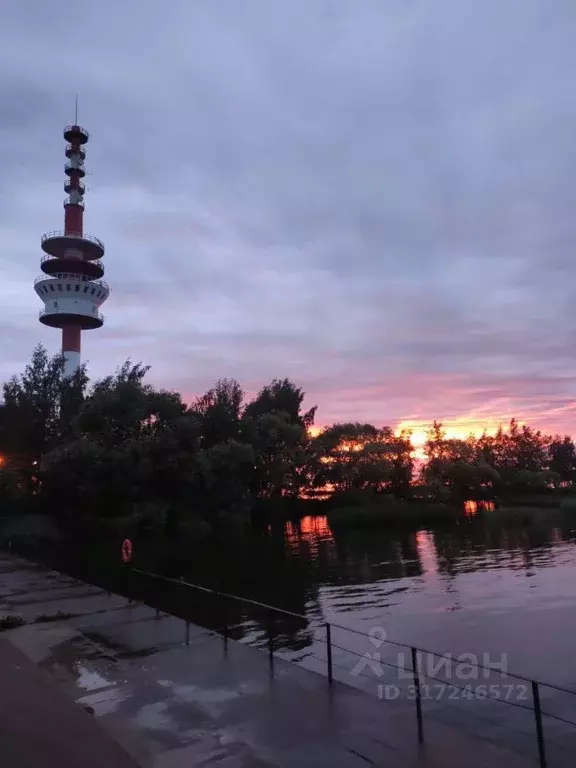 2-к кв. Санкт-Петербург, Санкт-Петербург, Петергоф ул. Дивеевская, 1М ... - Фото 0