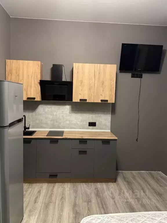 Студия Краснодарский край, Новороссийск Цемдолина тер., ул. Лесная, 8 ... - Фото 1