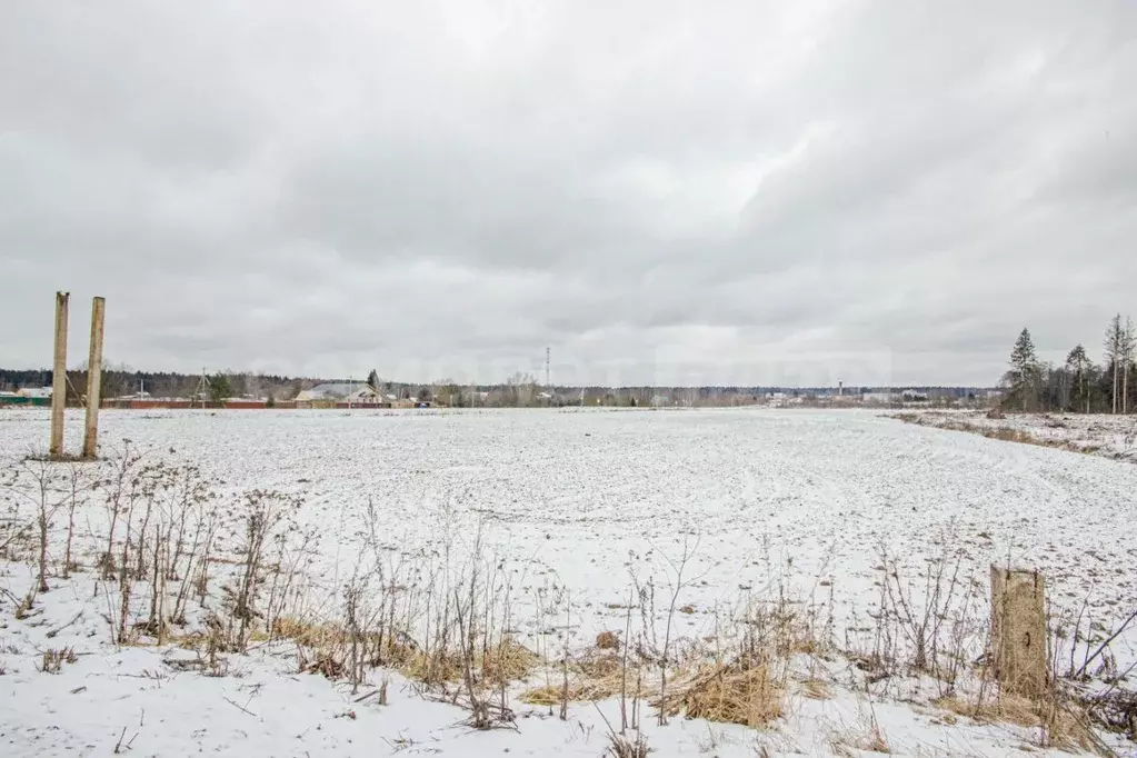 Участок в Московская область, Наро-Фоминский городской округ, д. ... - Фото 0
