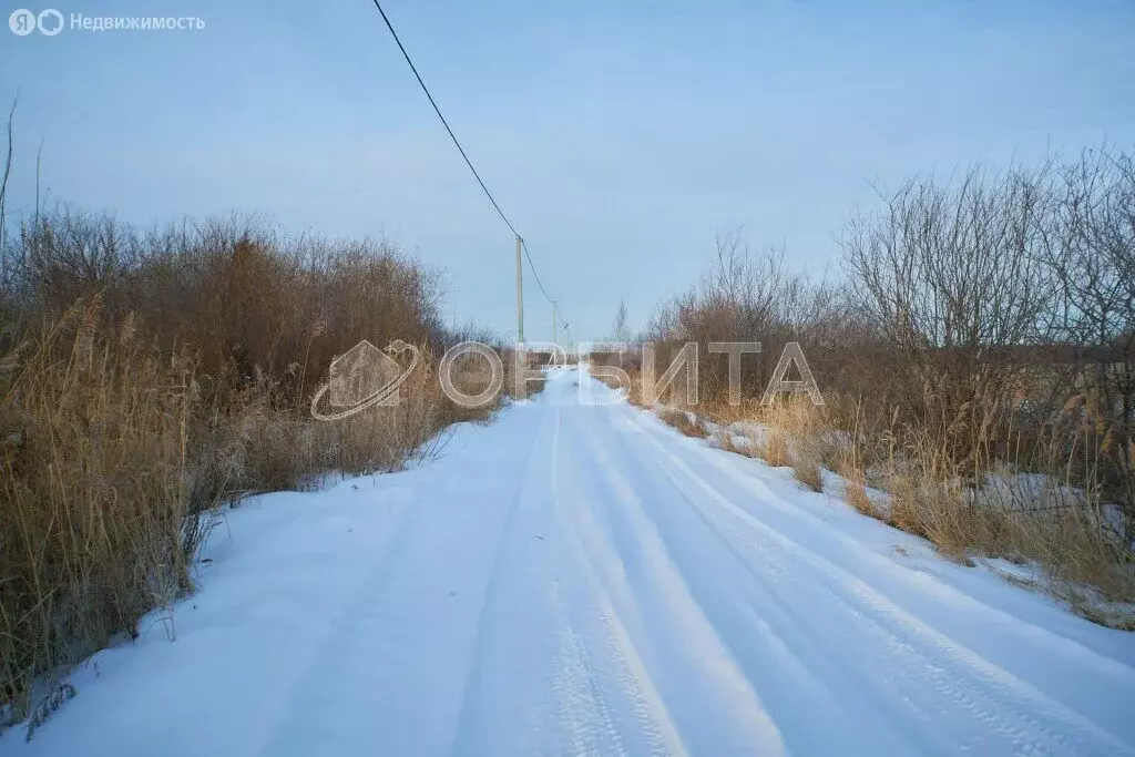 Участок в Ялуторовский район (10 м) - Фото 0