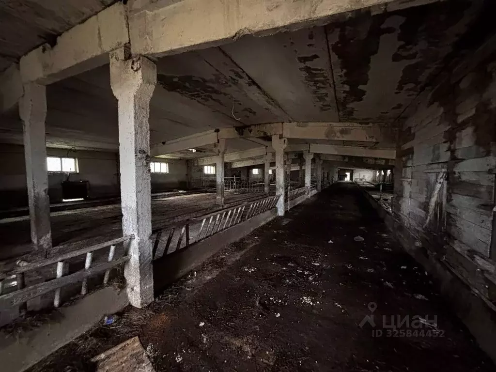 Производственное помещение в Московская область, Наро-Фоминский ... - Фото 2