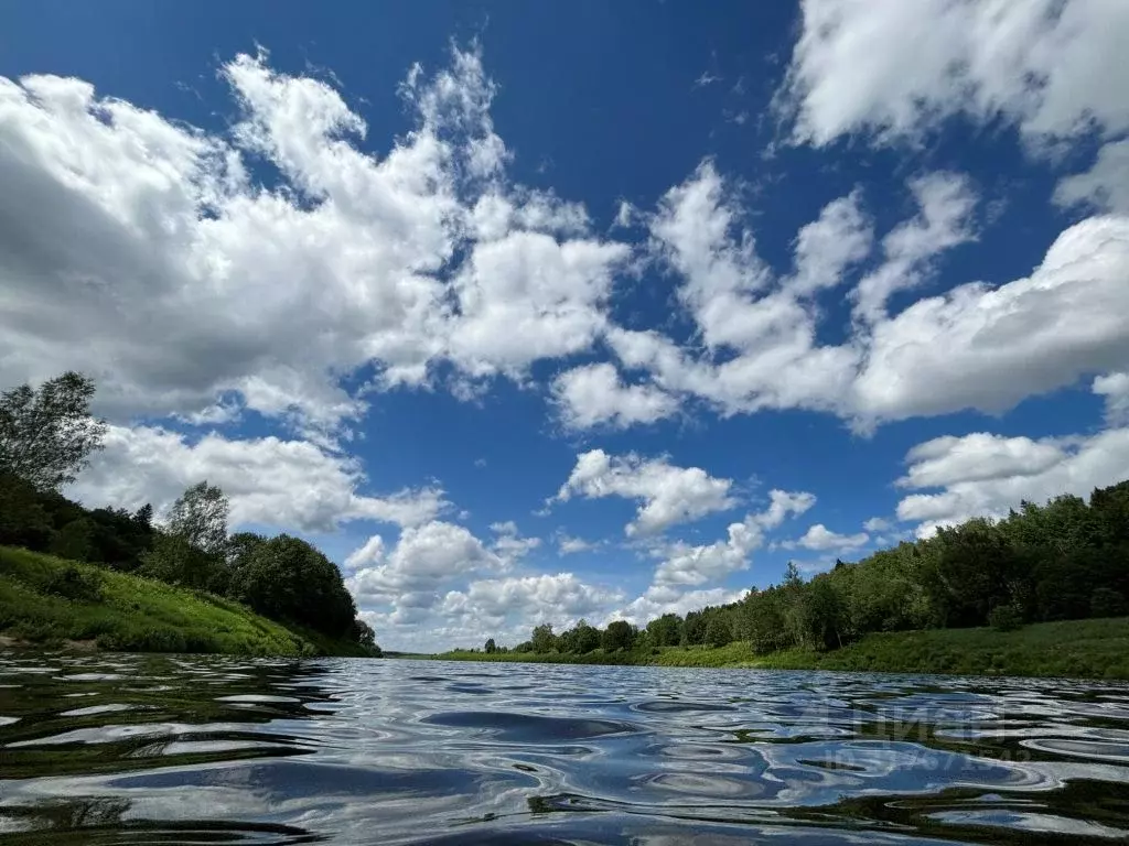 Дом в Калужская область, Дзержинский район, Угорское с/пос, д. Звизжи ... - Фото 2