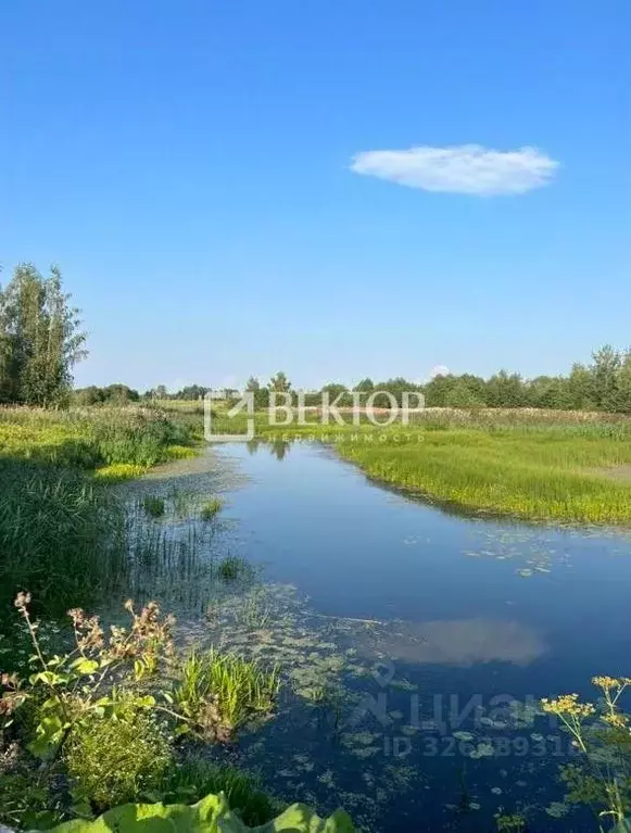Участок в Ярославская область, Ярославский муниципальный округ, Соньга ... - Фото 1