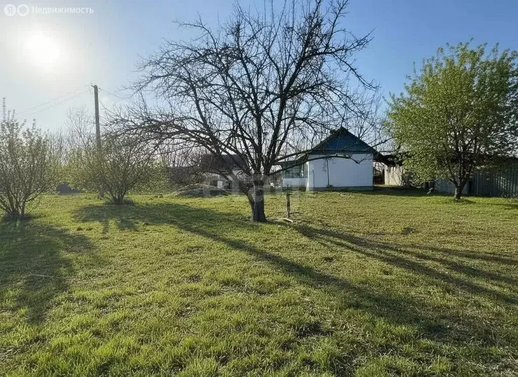 Участок в станица Петровская, улица Фрунзе (30 м) - Фото 2