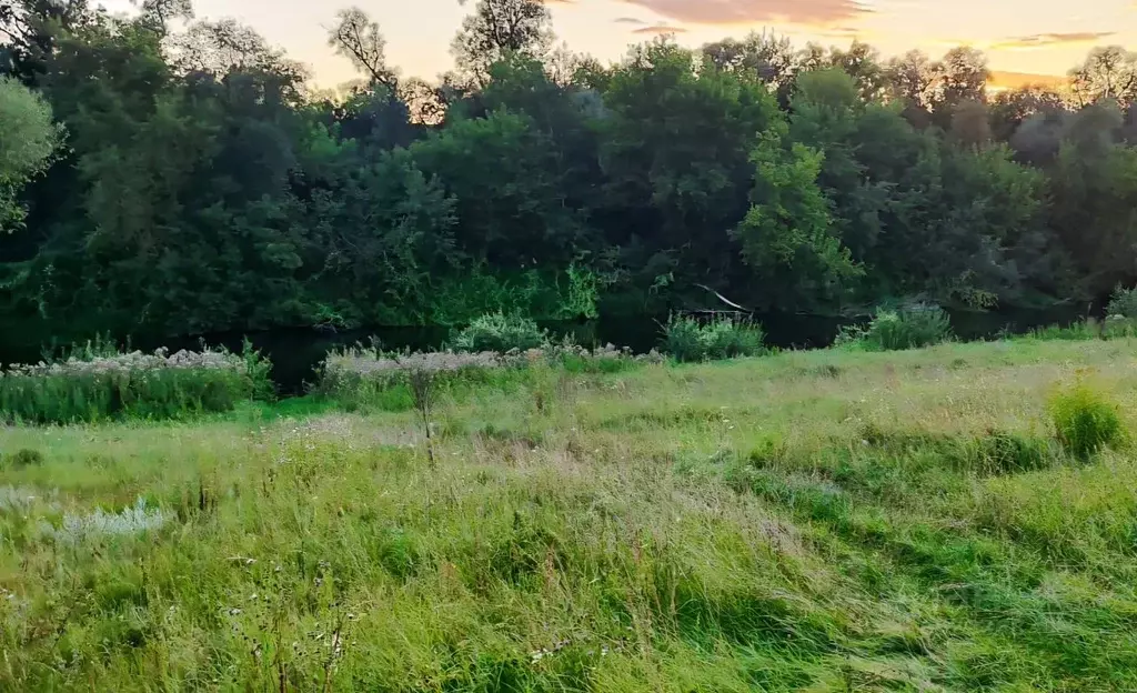 Участок в Московская область, Ступино городской округ, Дъяковское СНТ ... - Фото 0