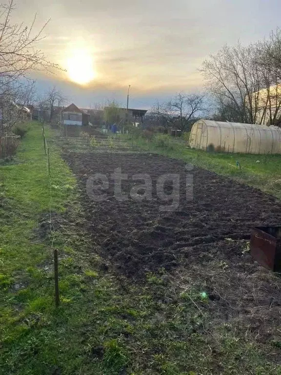 Участок в Владимирская область, Муром Стрелка со, 2 (4.0 сот.) - Фото 1