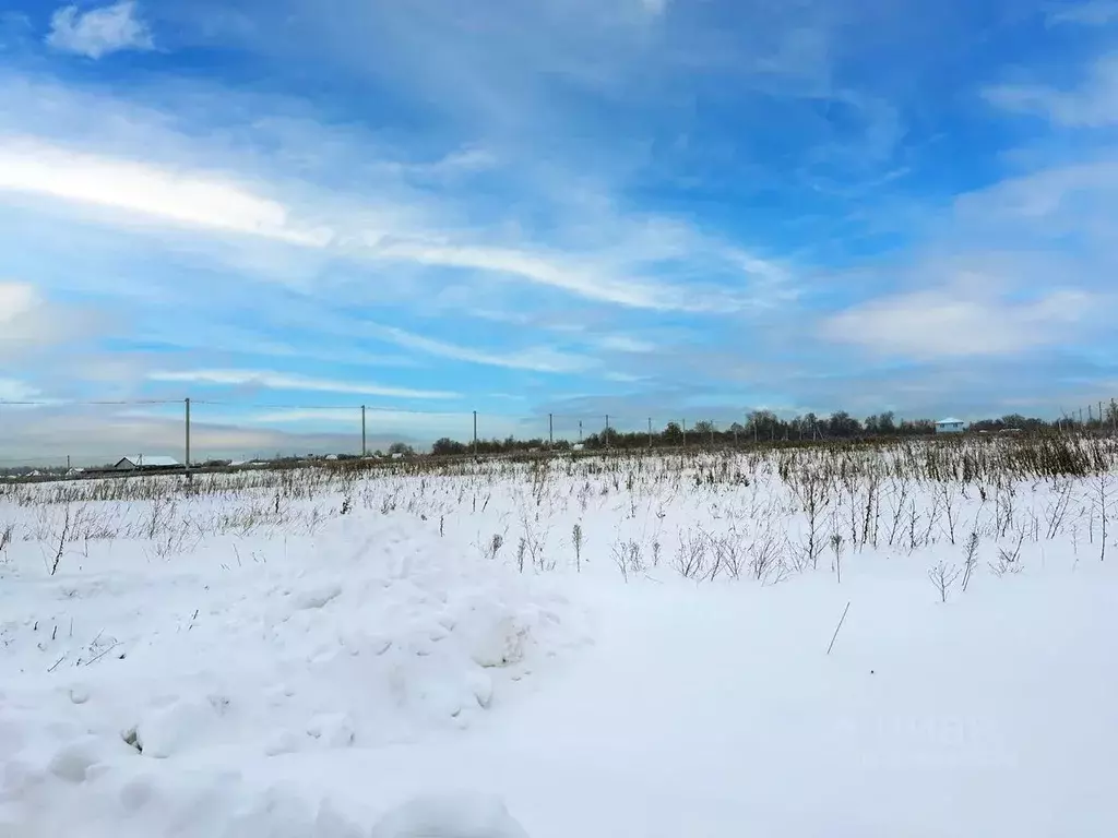 Участок в Московская область, Домодедово Кузьминское Парк кп, 49 (8.0 ... - Фото 2