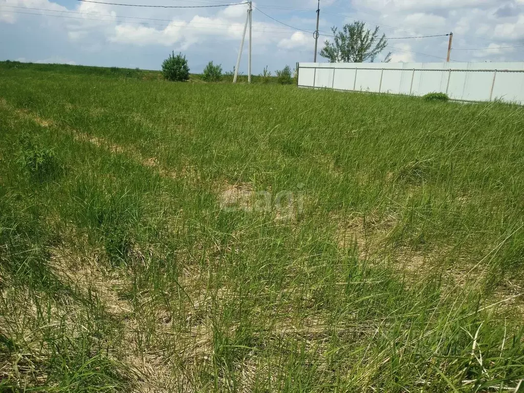 Участок в Брянская область, Брянский район, с. Глинищево ул. Брянская ... - Фото 1