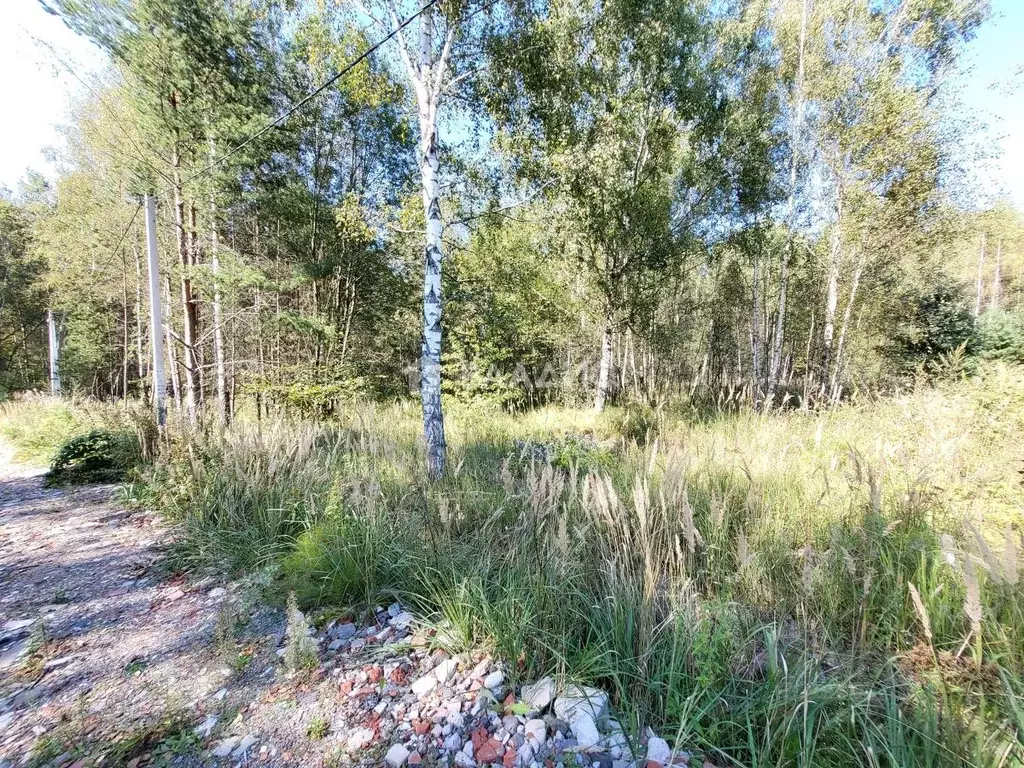 Участок в Московская область, Раменский городской округ, Лисицыны ... - Фото 0