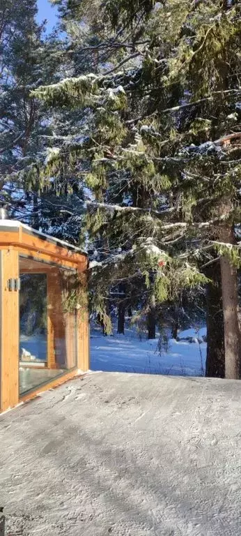 Дом в Свердловская область, Невьянский городской округ, пос. Аять ул. ... - Фото 1