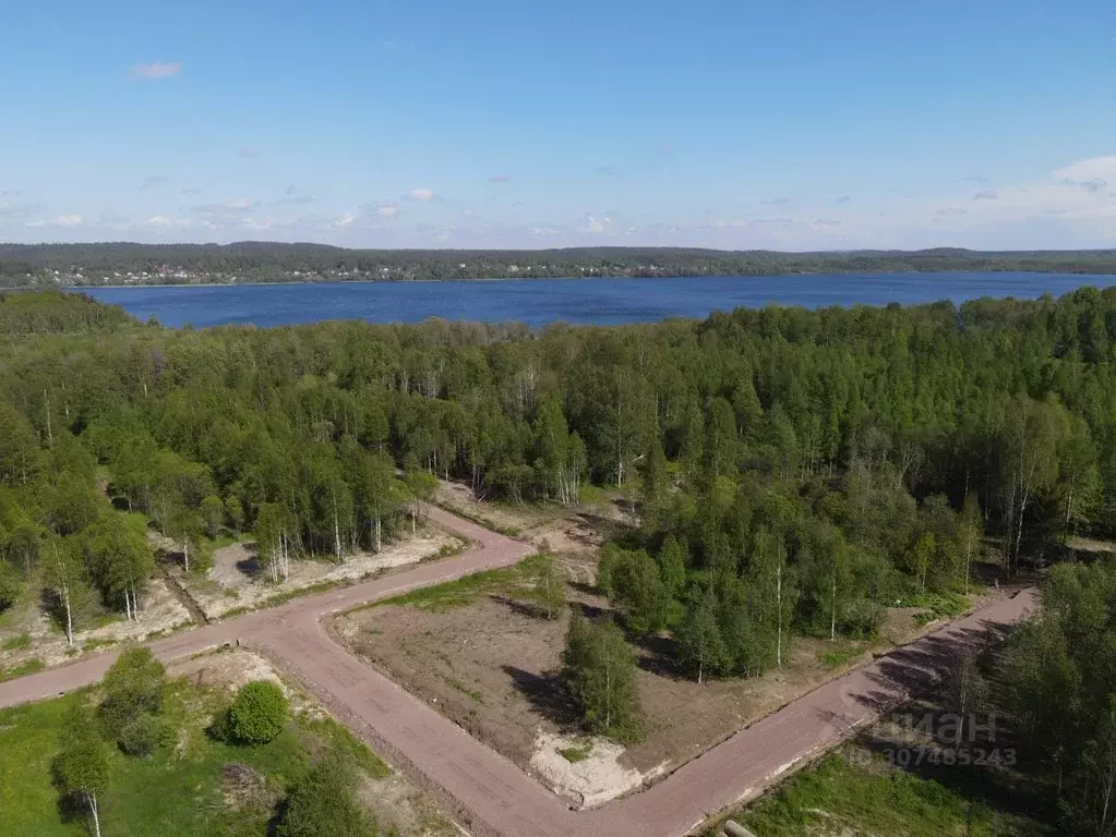 Участок в Ленинградская область, Выборгский район, Полянское с/пос, ... - Фото 0