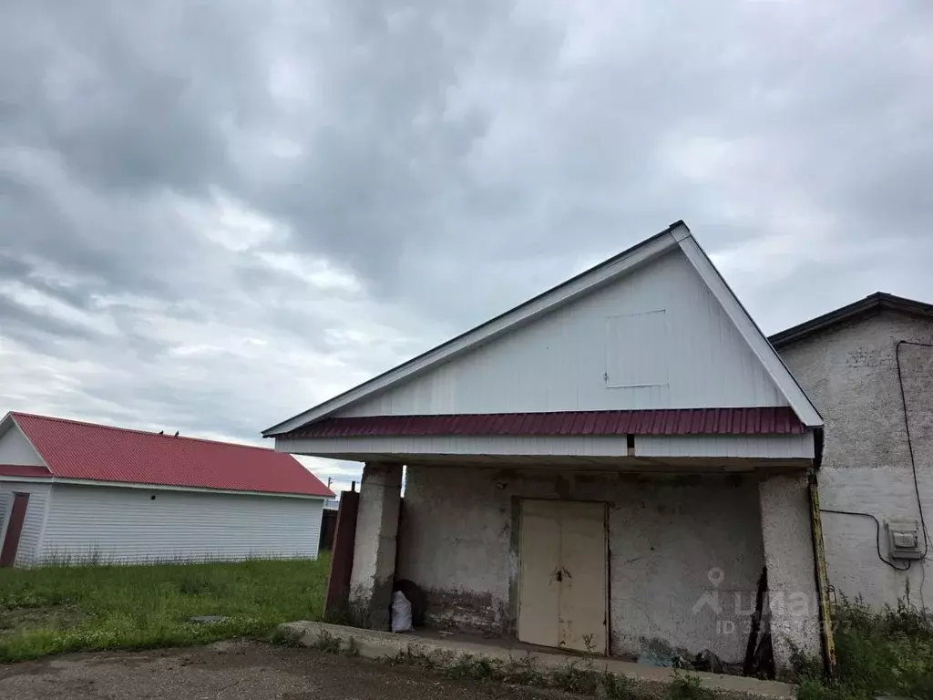 Помещение свободного назначения в Татарстан, с. Пестрецы ул. ... - Фото 1