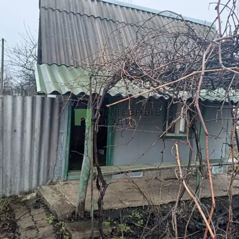 Участок в Белгородская область, Белгородский район, Северный городское ... - Фото 2