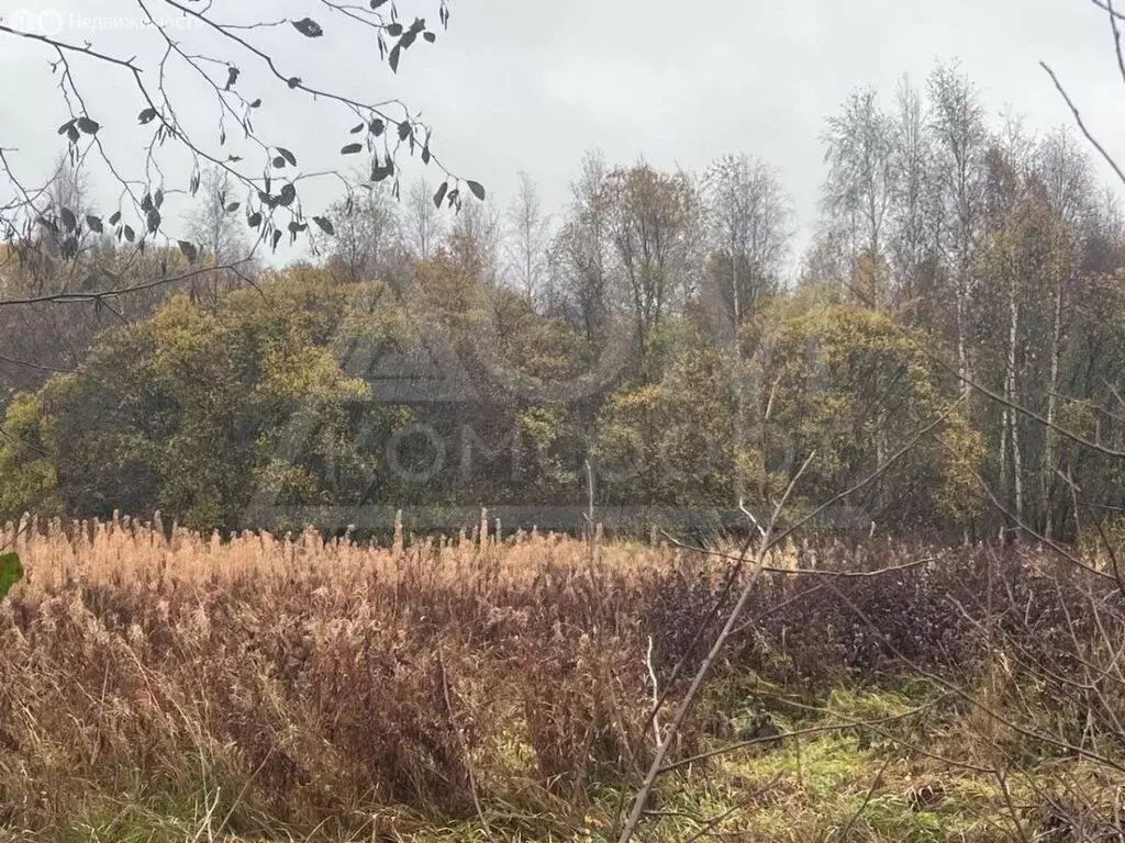 Участок в Выборг, микрорайон Сайменский (10 м) - Фото 1