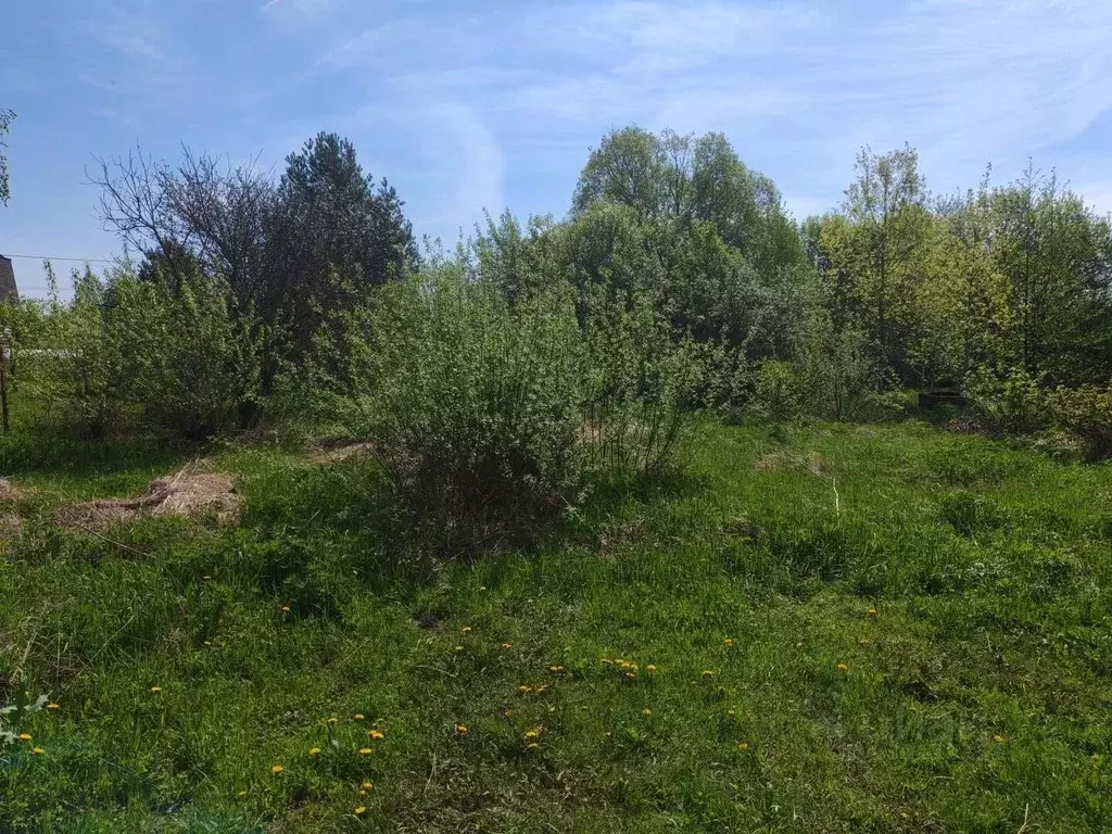 Участок в Московская область, Коломна городской округ, д. Новоселки, ... - Фото 1