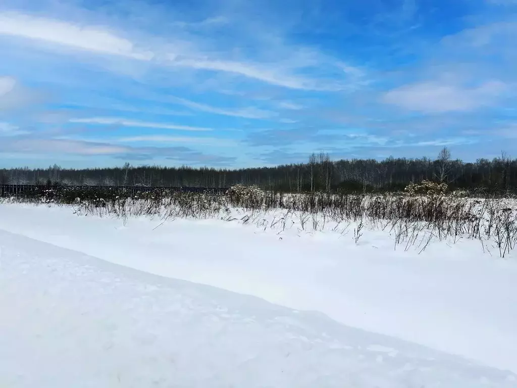 Участок в Московская область, Раменский муниципальный округ, Оттепель ... - Фото 2