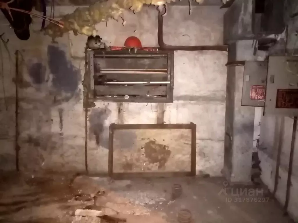 Офис в Санкт-Петербург Бухарестская ул., 142К1 (22 м) - Фото 1