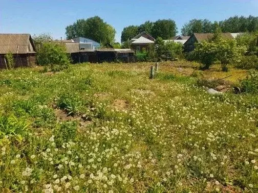 Участок в Башкортостан, Чишмы рп ул. Гизатуллина (8.89 сот.) - Фото 2