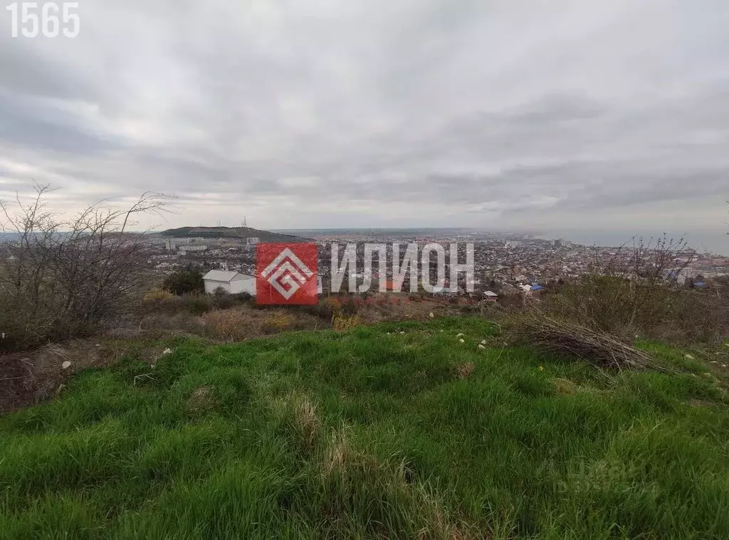 Участок в Крым, Феодосия Энергетик СПК,  (24.0 сот.) - Фото 1