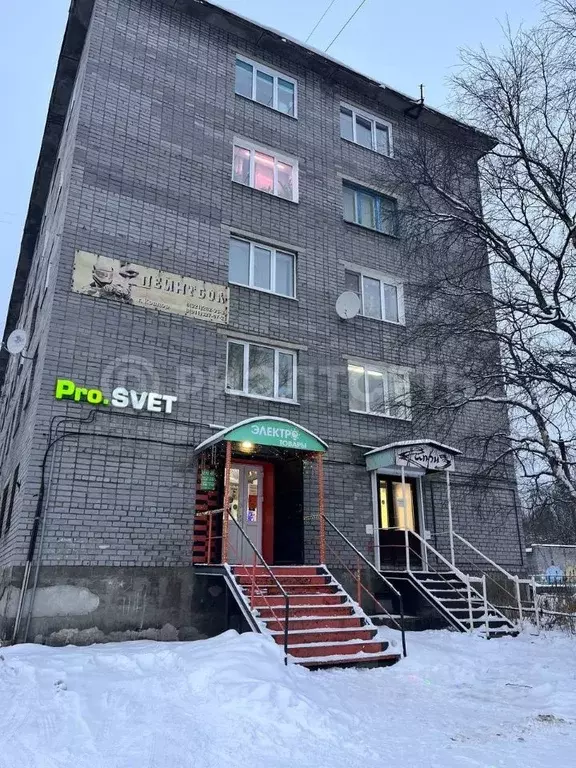 Помещение свободного назначения в Мурманская область, Ковдор ул. ... - Фото 2