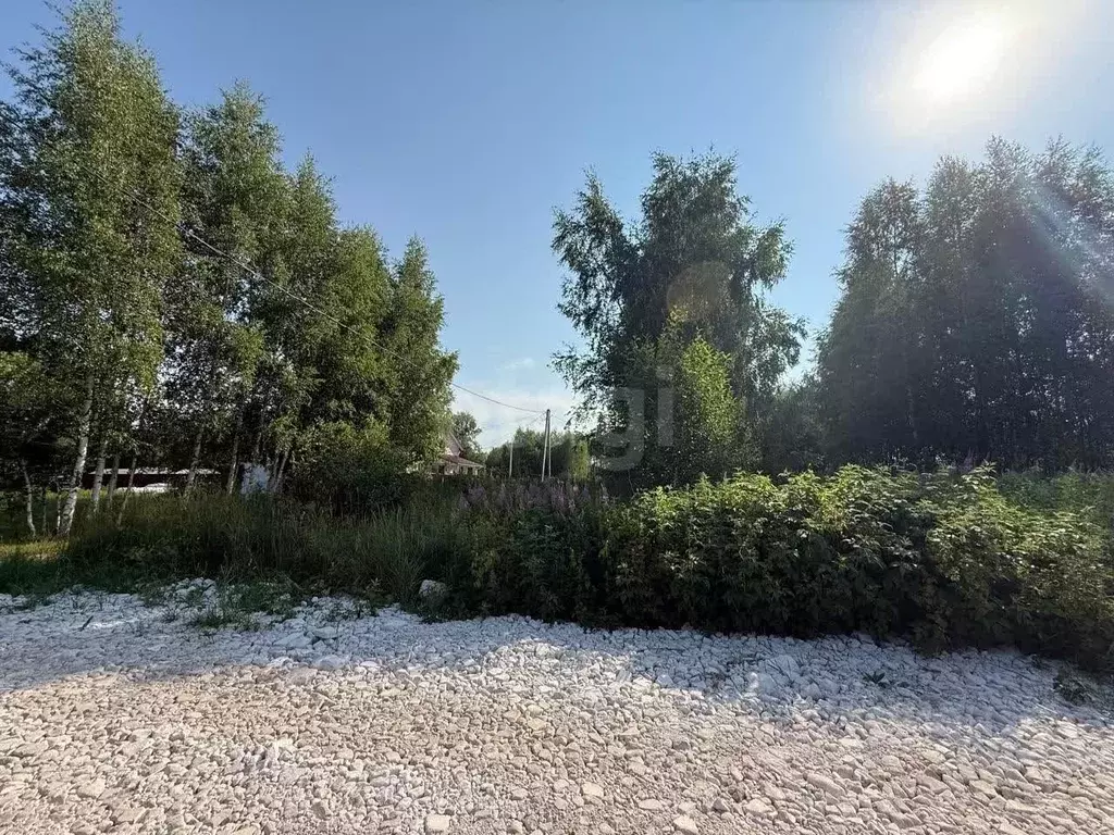 Участок в Костромская область, Кострома Журавлик садоводческое ... - Фото 2