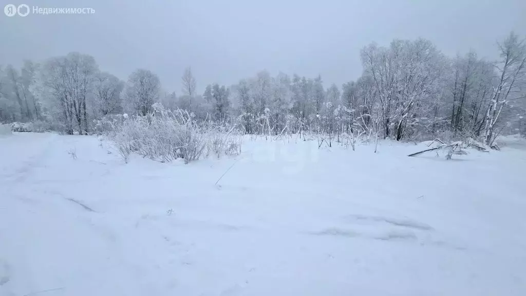 Участок в Будогощское городское поселение, деревня Змеева Новинка (13 ... - Фото 2