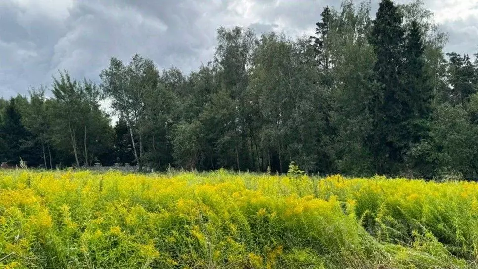 Участок в Московская область, Красногорск городской округ, д. ... - Фото 1
