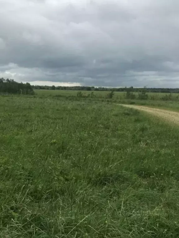 Участок в Ленинградская область, Гатчинский муниципальный округ, д. ... - Фото 1
