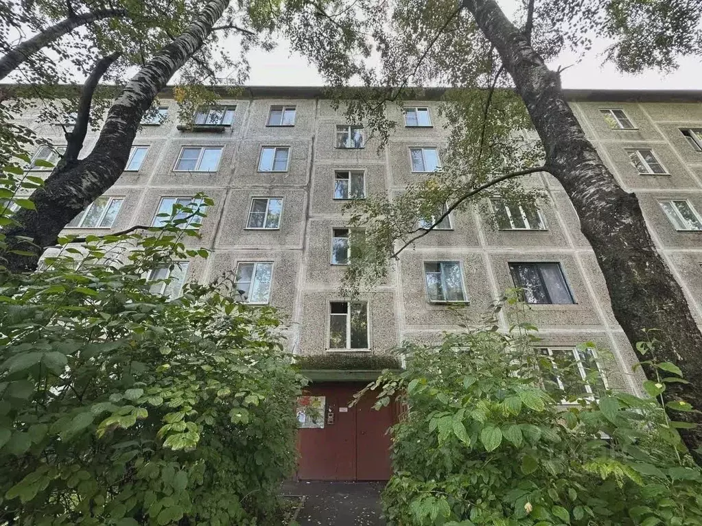 Комната Санкт-Петербург Дальневосточный просп., 74 (14.0 м) - Фото 1