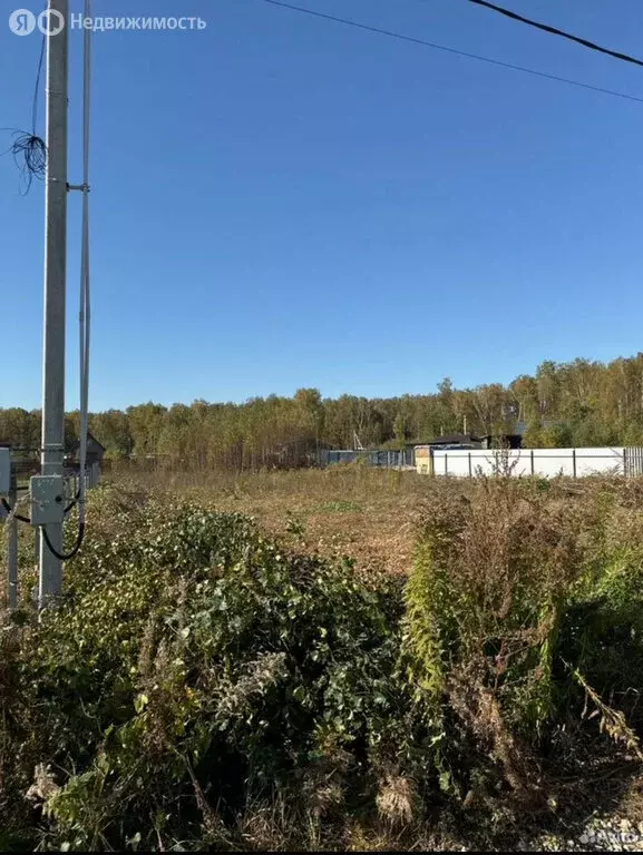 Участок в Московская область, городской округ Домодедово, деревня ... - Фото 1