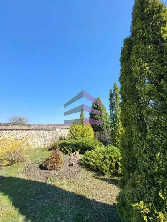 Участок в Воронежская область, Семилукский район, Губаревское с/пос, ... - Фото 1