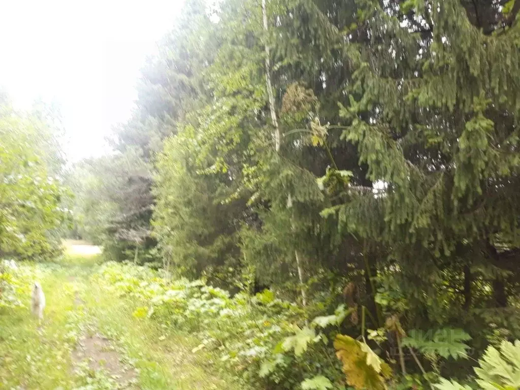 Участок в Коми, Сыктывдинский район, Лэзым муниципальное образование, ... - Фото 2