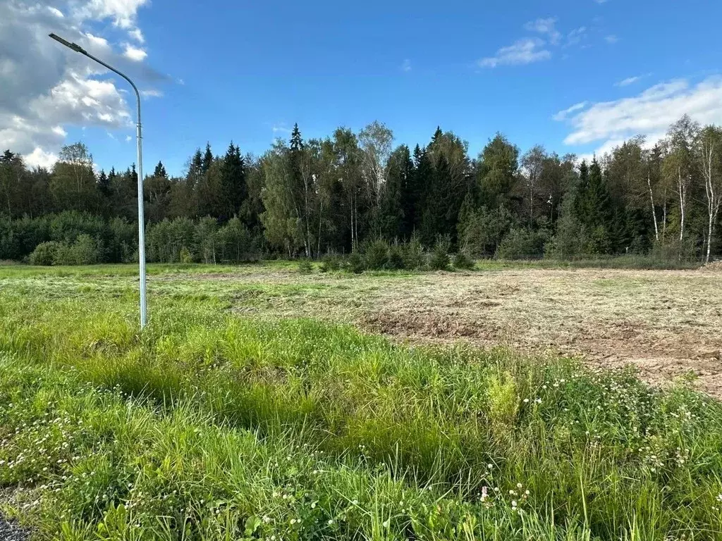 Участок в Московская область, Клин городской округ, Вельга Парк кп ул. ... - Фото 1