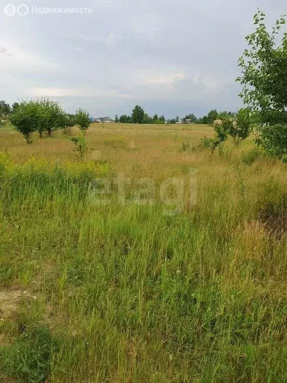 Участок в Толмачёвский сельсовет, СНТ Сибирь (12 м) - Фото 0